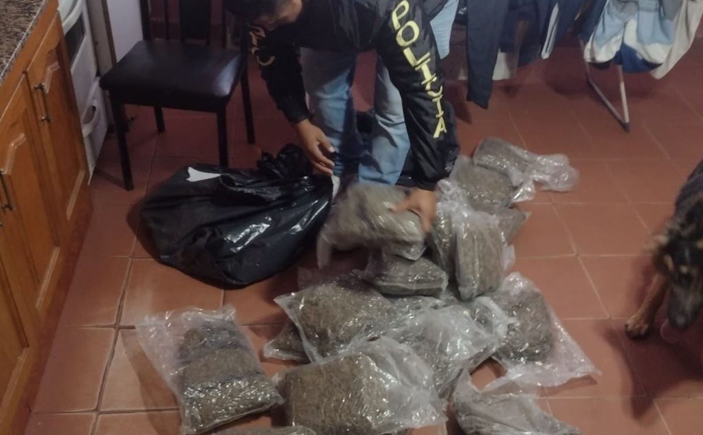 Los 240 kilos de marihuana, hallados en la vivienda de barrio Mirizzi, estaban distribuidos en 186 paquetes. (Policía de Córdoba)