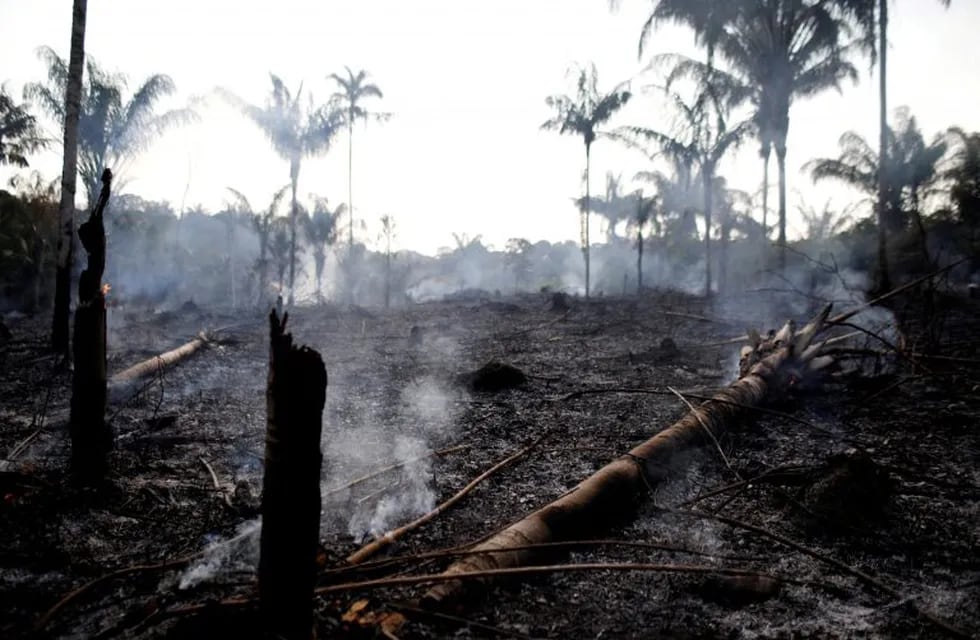 El humo de los incendios en el Amazonas llegará esta noche al norte de la Argentina. (REUTERS)