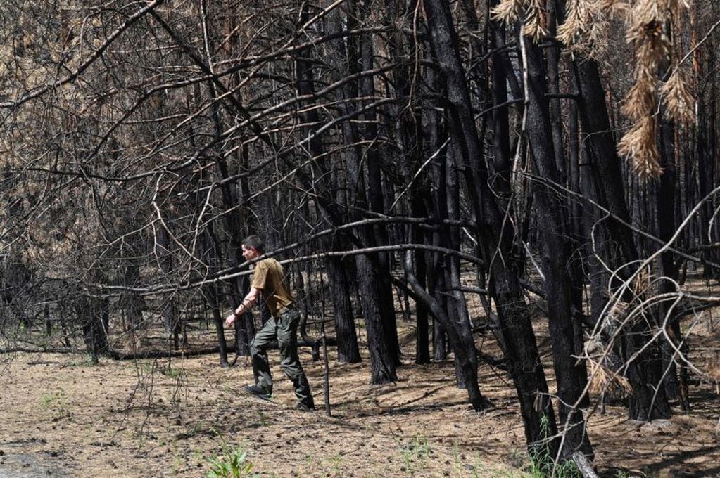 Incendio forestal. (Photo by Sergei SUPINSKY / AFP)