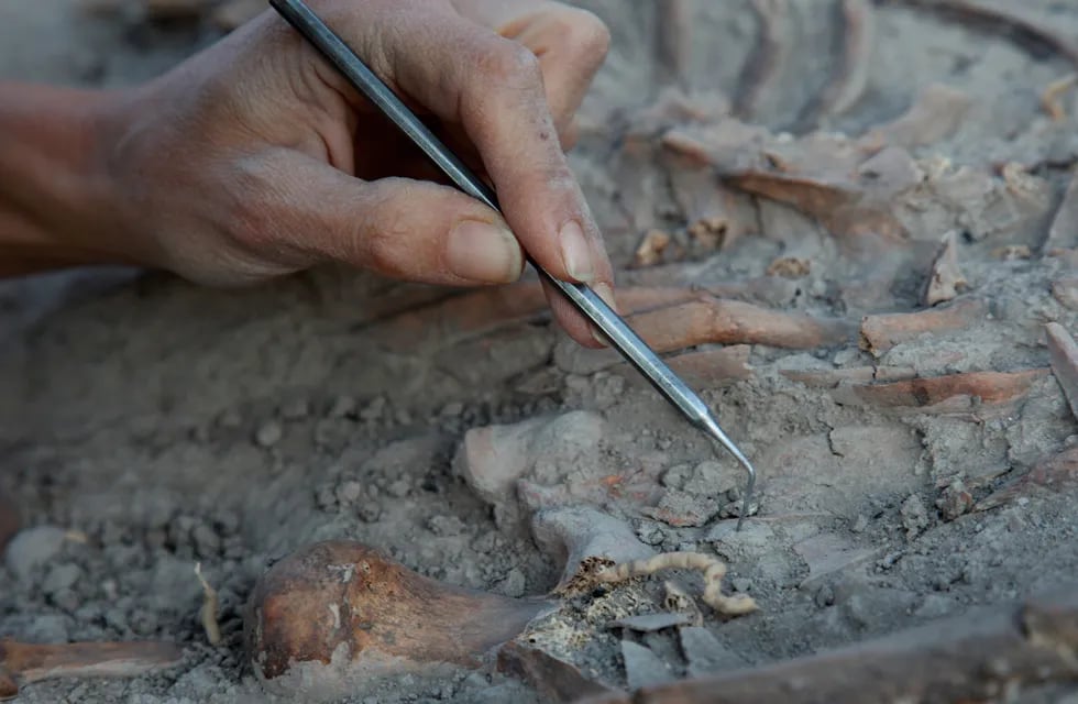 Sorprendente hallazgo arqueológico: descubrieron un cementerio católico oculto del siglo XVIII en España.