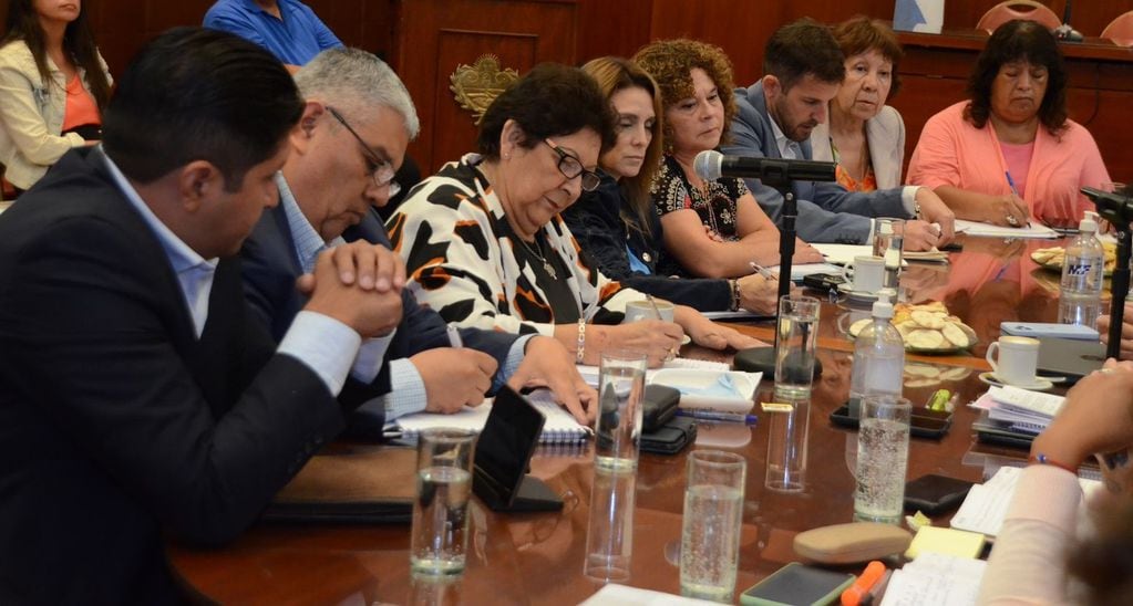 La diputada María Ferrín (al centro), presidente de la Comisión de Educación, junto a otros legisladores miembros, escuchan atentamente la exposición de Federico Medrano en el Salón "Marcos Paz" de la Legislatura de Jujuy.
