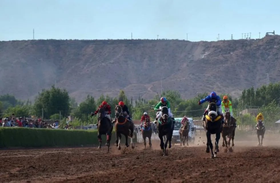 Lanzaron una nueva regulación para las carreras de caballo en Río Negro