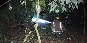 Rescatan a una familia que quedó atrapada en una vivienda tras la caída de un árbol en Iguazú