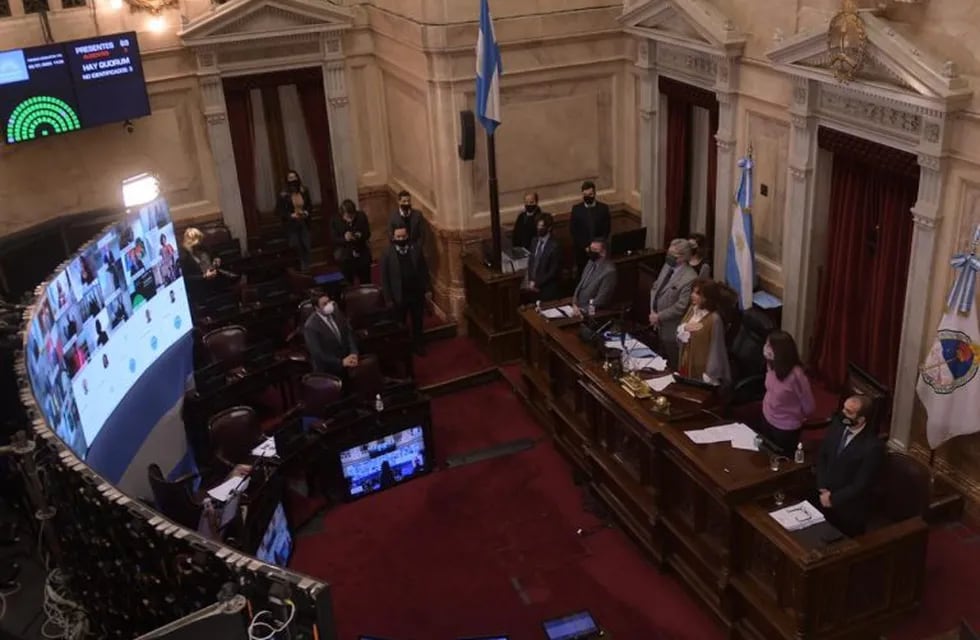 El Senado debate la ley de Teletrabajo y la reestructuración de la deuda pública. (Federico López Claro)