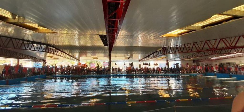 Nadadores de Arroyito participaron en el Torneo Leones en el Agua