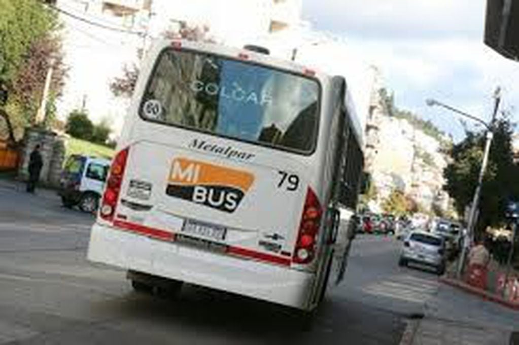 Empresa Mi Bus (web).