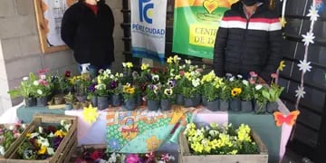 La ONG Amanecer y el supermercado Arco Iris de Pérez apuestan a un proyecto común
