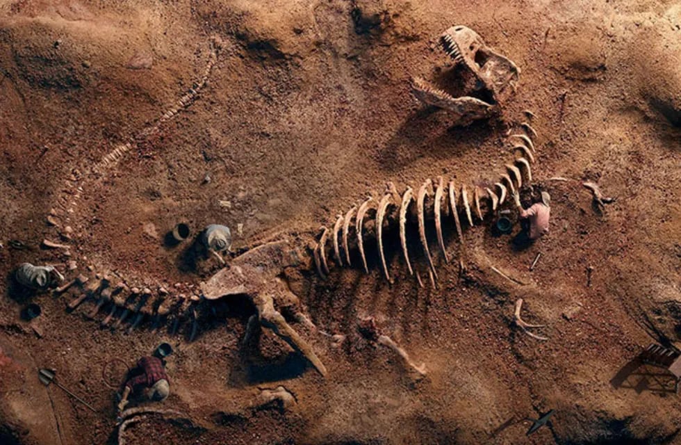 Encontraron fósiles de dinosaurios en Chos Malal (la imagen es a modo ilustrativo).