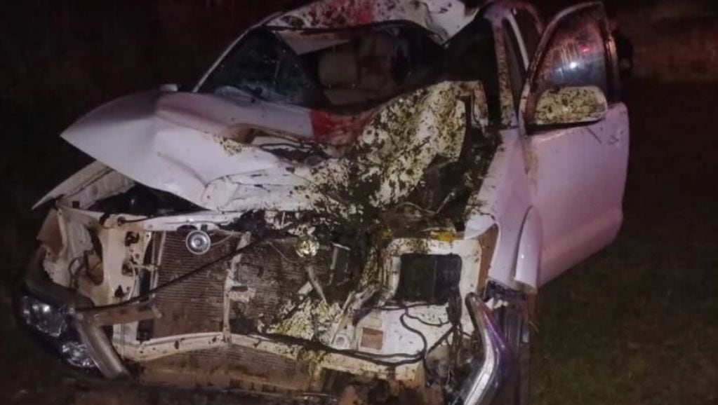Accidente vial en Oberá: impactaron su automóvil contra un equino.