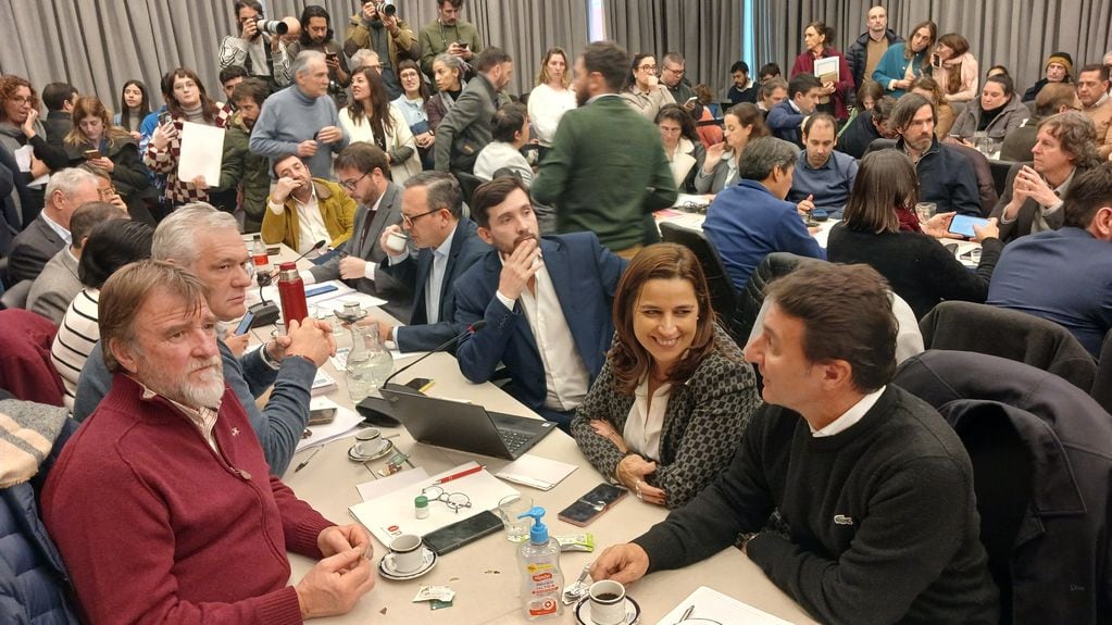 A la izquierda, el diputado nacional Jorge Rizzotti (UCR Jujuy), en el plenario de Comisiones que antecedió a la sesión de este jueves en la Cámara baja.