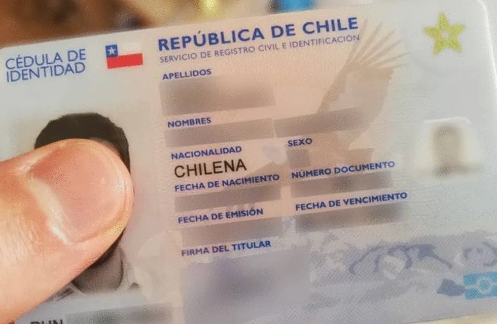 Un ciudadano argentino Paso Internacional: Fue detenido con 21 tarjetas magnéticas y documentos de identidad de Chile.