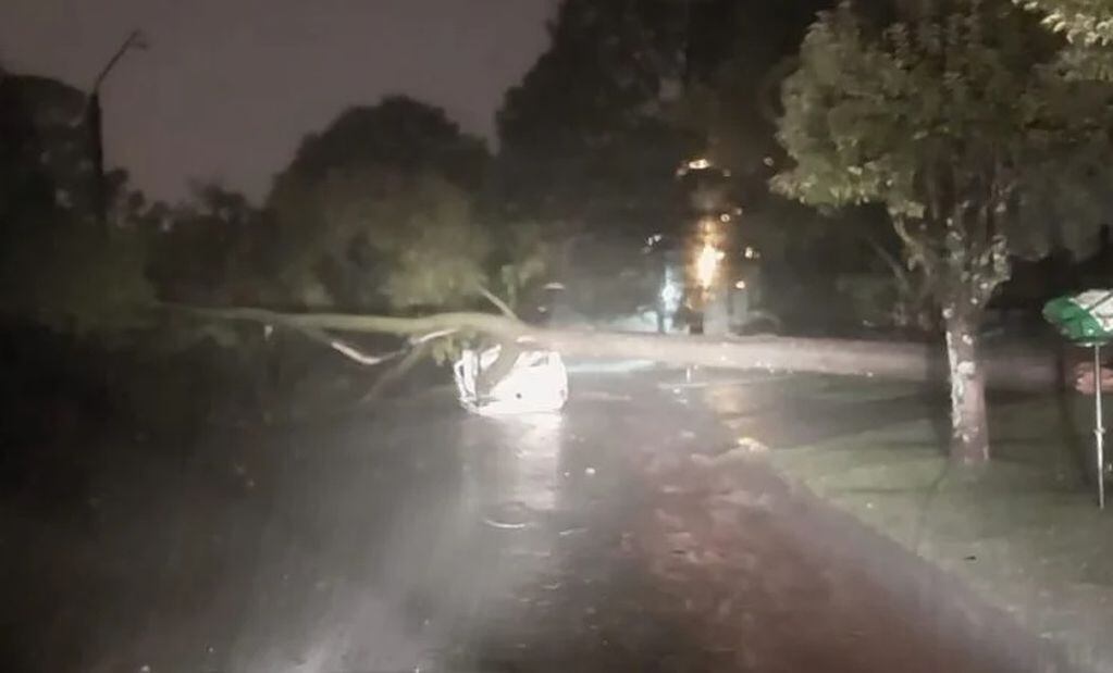 Graves consecuencias en Oberá tras el temporal que afectó a la región.