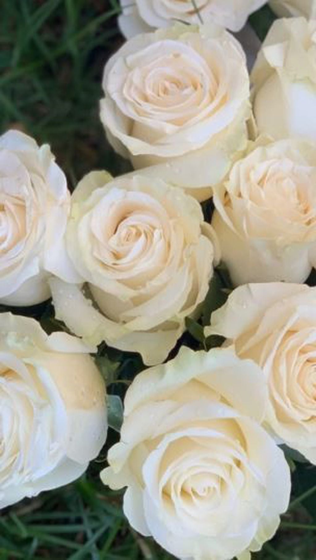 Benjamín Vicuña subió una imagen de rosas blancas en alusión al hombre de su hija.