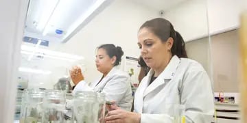 Ugacoop laboratorio biotecnología