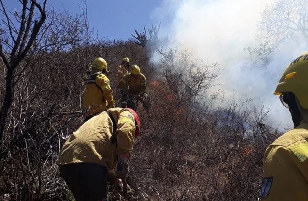Brigadistas combaten el incendio en El Gracián