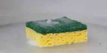 Torta esponja