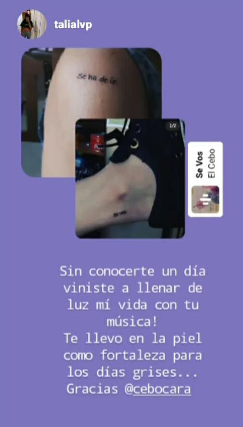 Tatuaje con una de las frases de las canciones de El Cebo- Talia Alvp