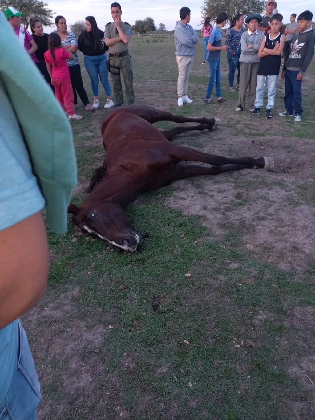 Tragedia en Corrientes: murieron dos caballos en una carrera