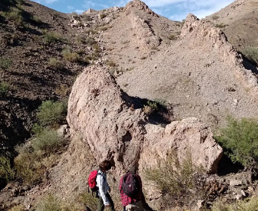 Hace unos 425 millones de años en La Rinconada, había mar, lugar donde los científicos de la UNSJ, hallaron Rhyniopsidas (plantas muy pequeñas).