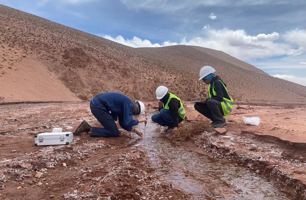 El monitoreo ambiental en la región donde opera el "Proyecto Cauchari-Olaroz" consistió en una evaluación biológica de flora y fauna, y un examen físico químico del aire, el agua y el suelo.