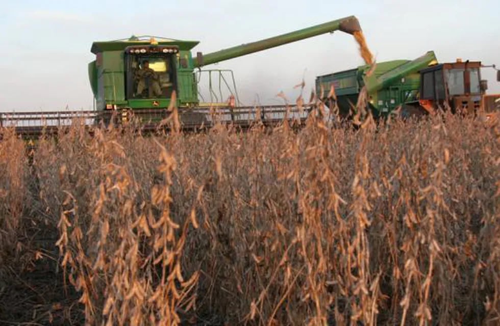 El Usda prevé una cosecha de soja en el país menor que el Ministerio de Agroindustria.
