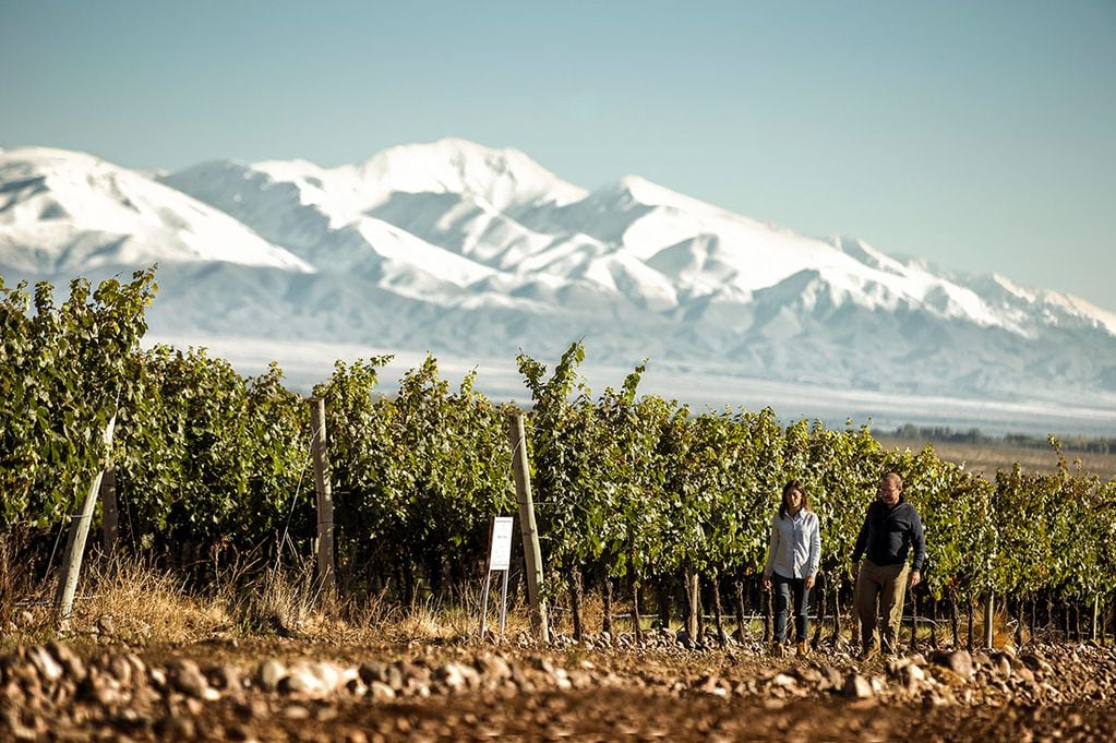 La Ruta del Vino es la actividad más elegida en Mendoza.