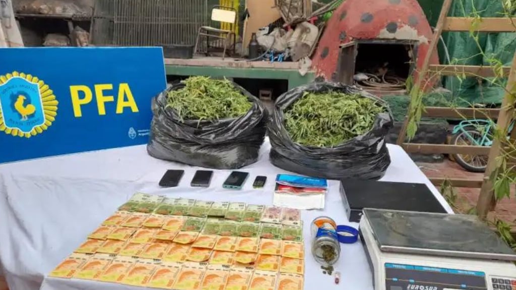 Desbarataron a una banda narco en Mendoza: secuestraron 78 kilos de marihuana