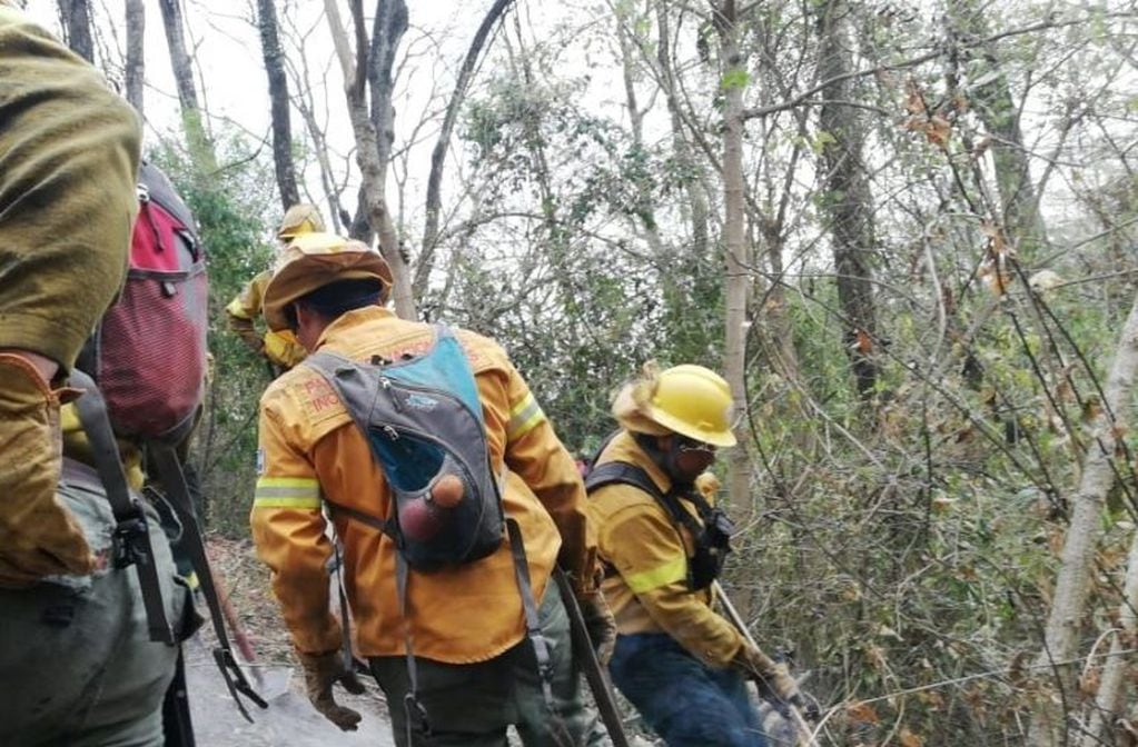 Se sumaron este lunes a las tareas en Jujuy brigadistas de Incendios Forestales del Parque Nacional El Rey y de la Reserva Nacional Pizarro, de la provincia de Salta.