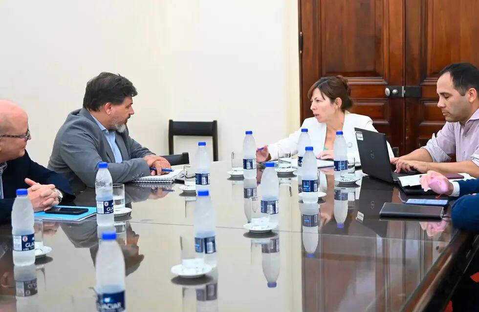La reunión de Silvina Batakis y funcionarios de Agricultura.