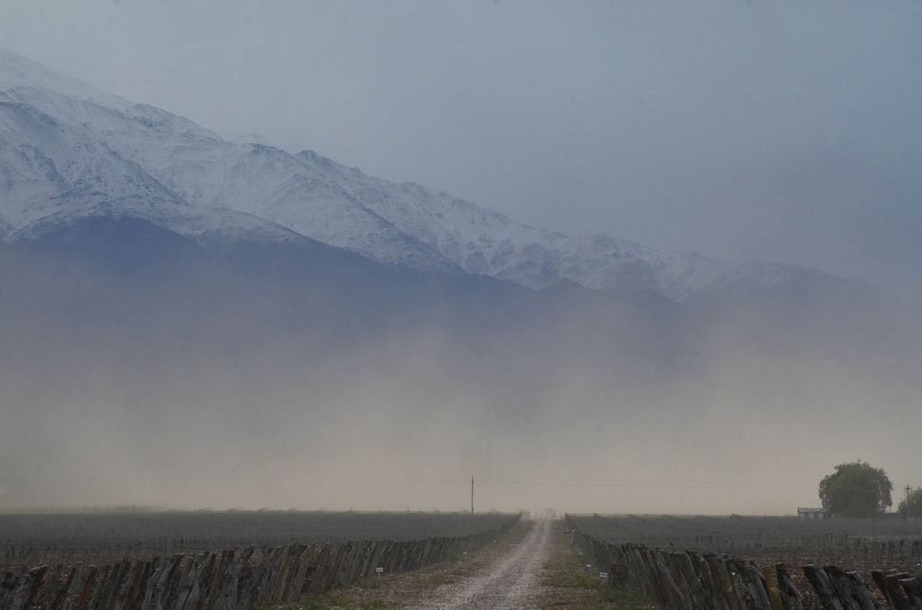 Pronóstico: viento zonda en precordillera que anuncia inestabilidad 