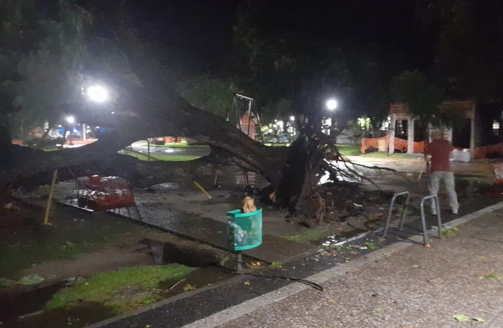 Voladuras de techos, arboles caídos, anegamientos y nuevos evacuados en Gualeguaychú tras la tormenta