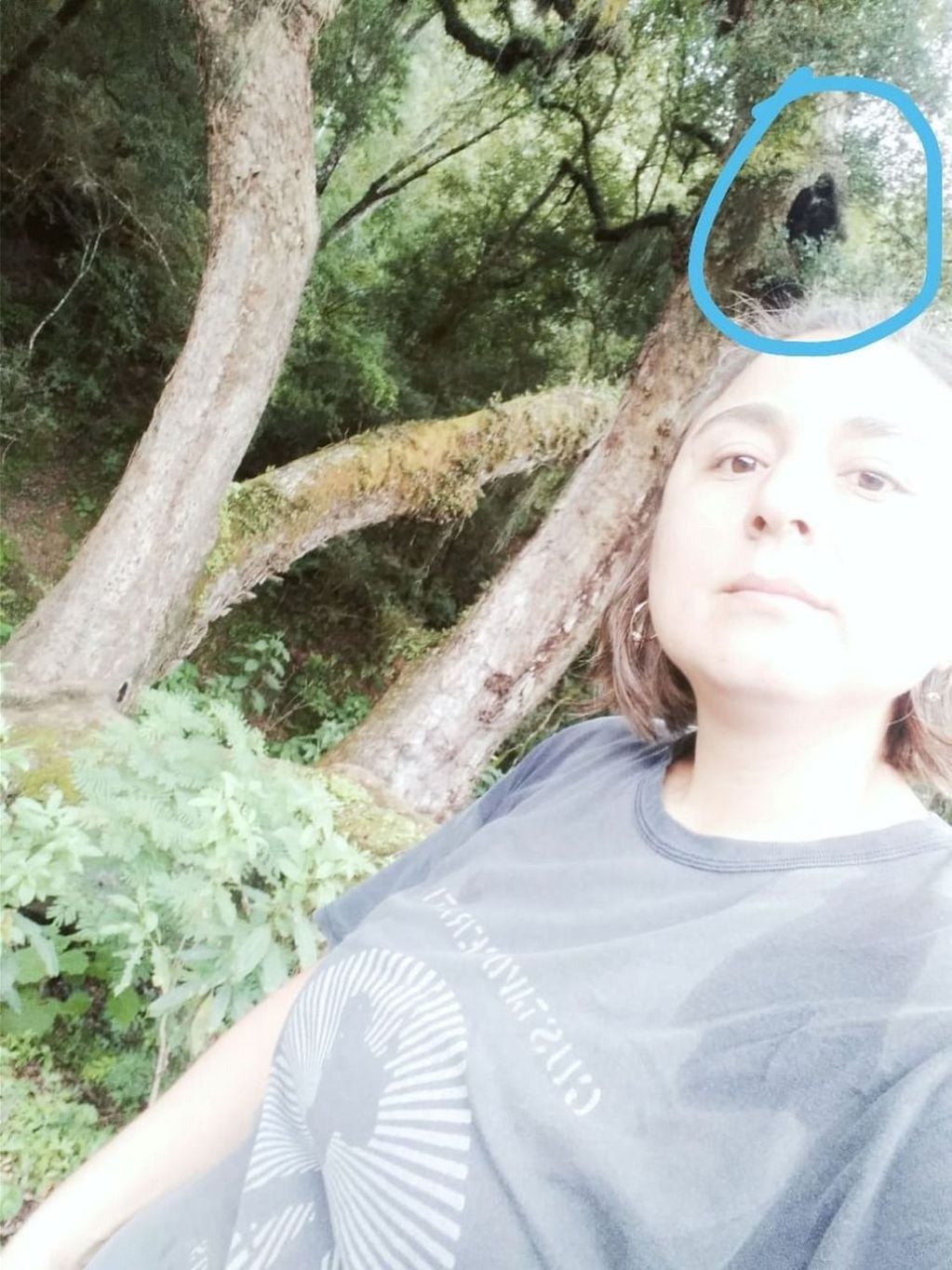 Las mujeres aseguran que en las fotografías se observa a una mujer vestida de negro sobre un árbol y un rostro extraño.