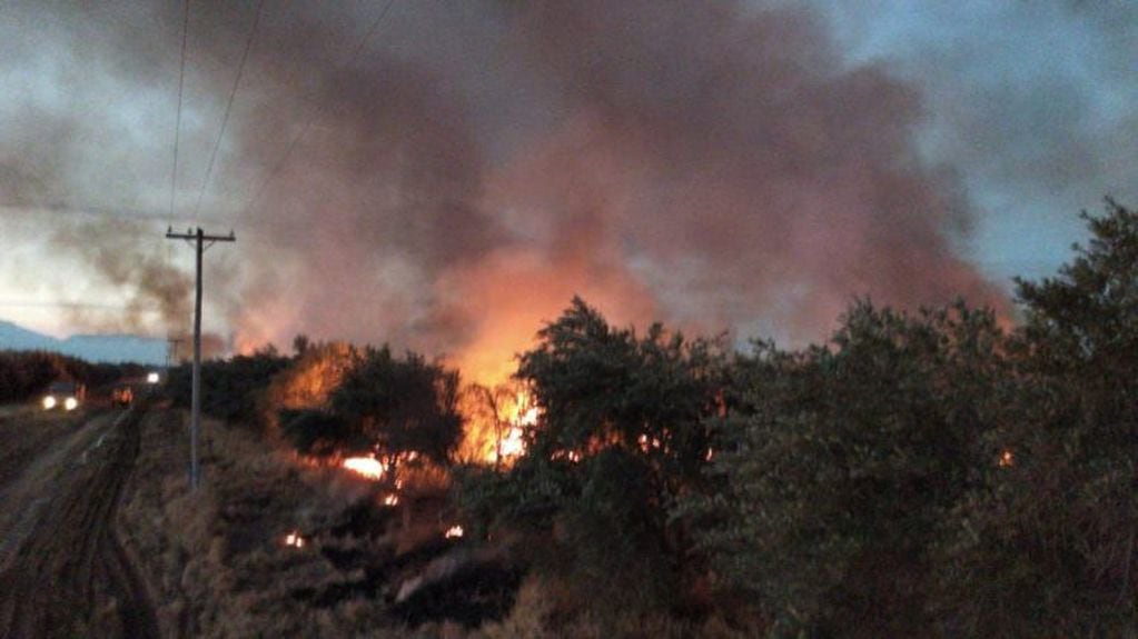 Incendio en la finca  Olmedo sobre Ruta Nacional 38