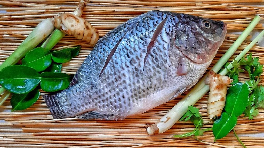Introducir más pescado durante los días de calor es una buena fuente de nutrientes. - utopia.org