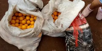 Donaron naranjas a un comedor de Eldorado recuperadas en un operativo en Mado