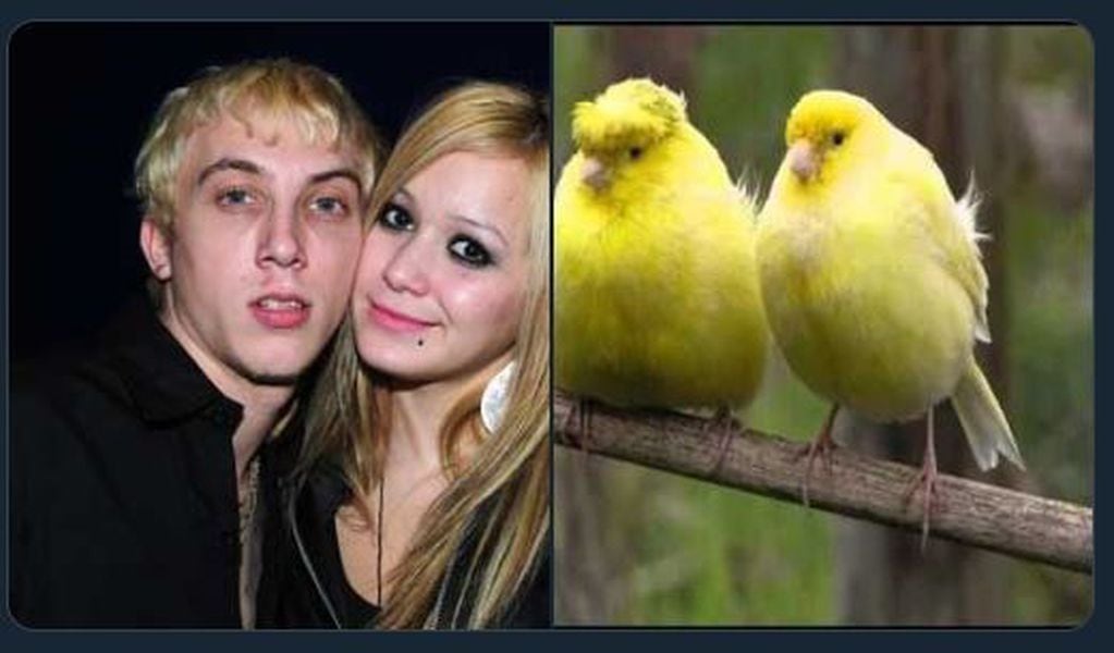 El Polaco y Karina uno de los comparados con pájaros (Foto: Twitter)