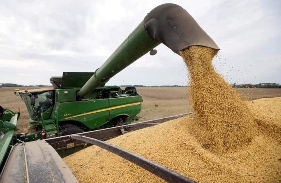 FILE - In this Sept. 21, 2018, file photo, Mike Starkey offloads soybeans from his combine as he harvests his crops in Brownsburg, Ind. For months, the U.S. economy has shrugged off the tariffs slapped by America and China on tens of billions of dollars of each other’s goods. In drawing up its list of targets, Beijing focused specifically on soybeans and other farm products in a direct shot at Trump supporters in the U.S.  (AP Photo/Michael Conroy, File)