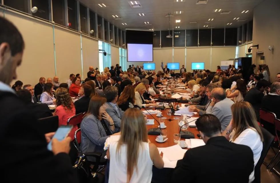 Se debaten en un plenario de comisiones las nueve emergencias que propuso el Gobierno de Alberto Fernández. (Federico López Claro)