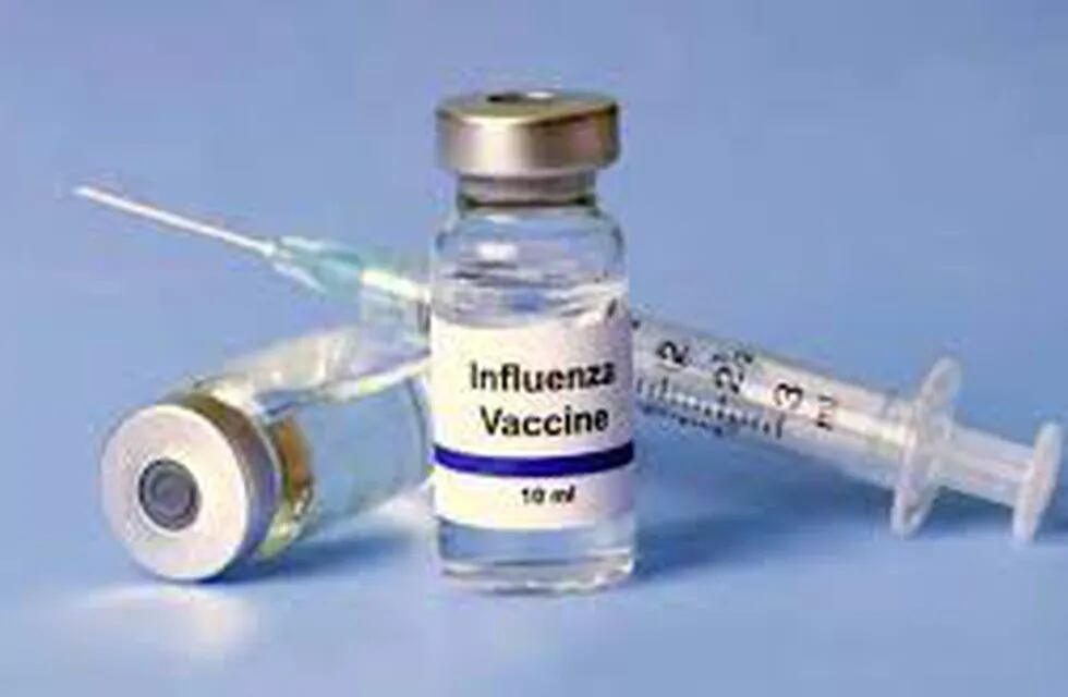 Vacunas antigripales. Web