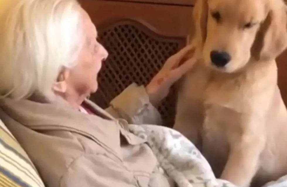 El emocionante momento entre un perro y una anciana de 100 años.