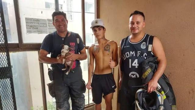 Cachorro rescatado en Ensenada