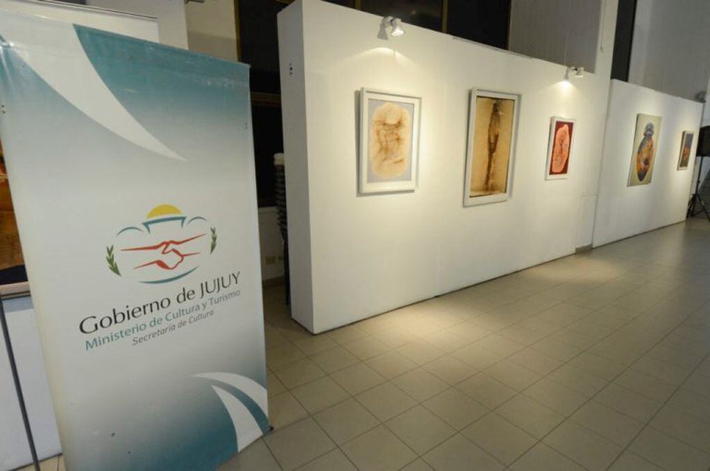 La muestra “Retrospectiva Andina”, de Guadalupe “Michi” Aparicio, inaugurada en el Centro Cultural Culturarte.
