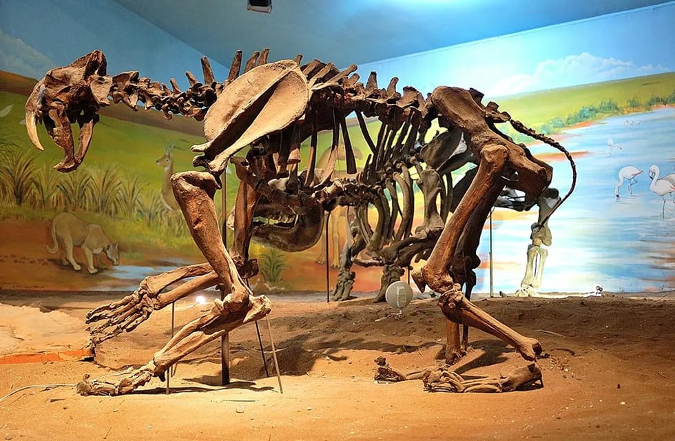 El Museo Darwin de Punta Alta inauguró su página web