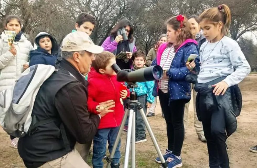 Observación de aves en el Jardín Botánico (Gobierno de La Pampa)