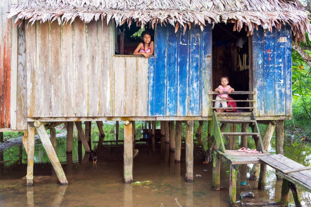 La Amazonía está salpicada de pueblitos isleños –200 o 300 habitantes– que viven de la pesca y de cultivos como la yuca.