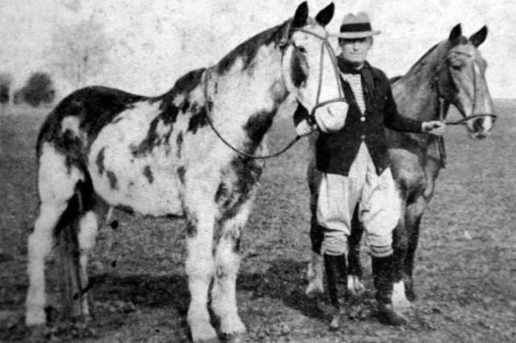 Gato y Mancha, los caballos criollos argentinos que unieron Buenos Aires con Nueva York.