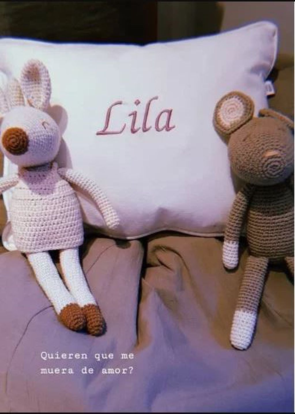 Violeta Urtizberea mostró parte del cuarto de Lila en Instagram