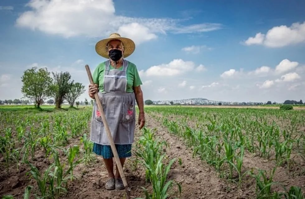 Mendoza Adhieren a Ley Nacional  que declara el 15 de octubre como  Día de la Mujer Rural