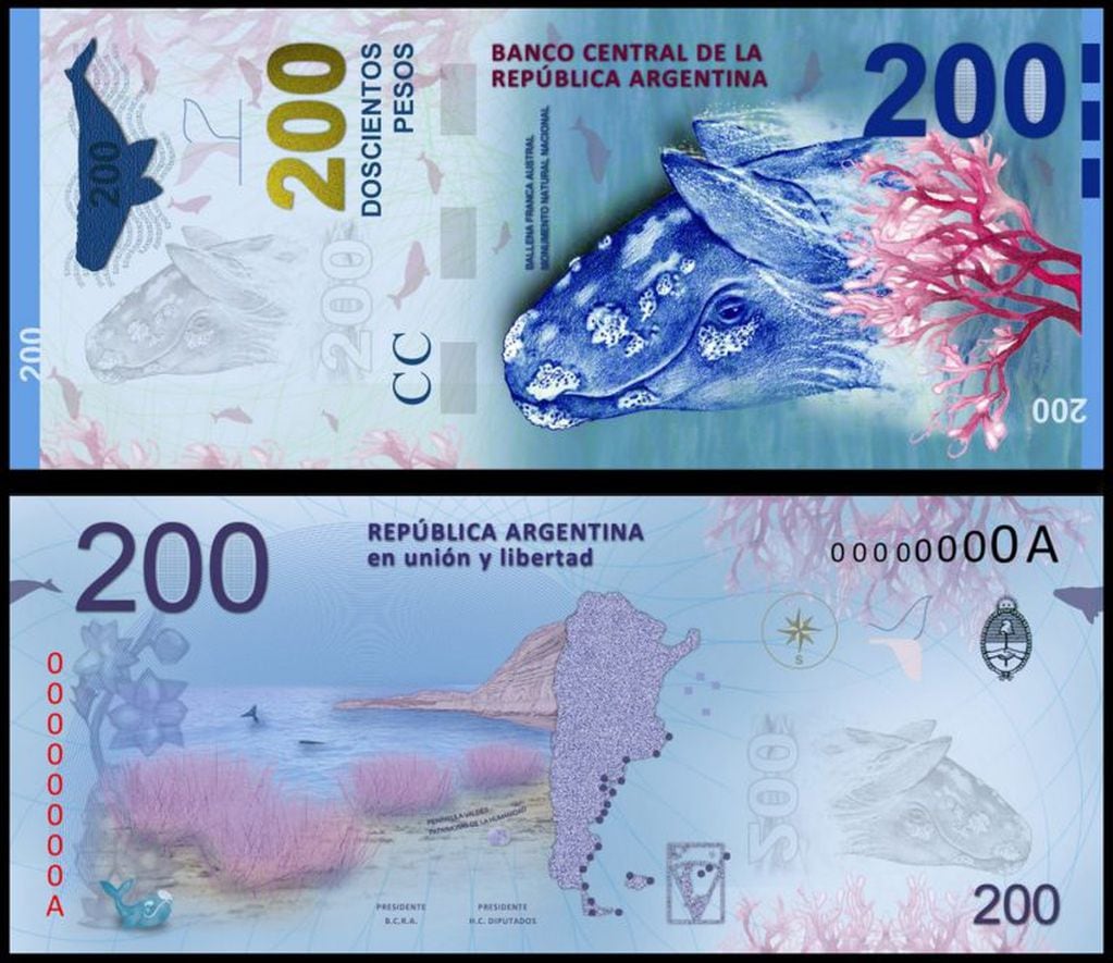 Billetes de 200 pesos con la ballena franca austral en su anverso y por el mar argentino la Antartida e islas del Atlantico sur en su reverso. (DYN)