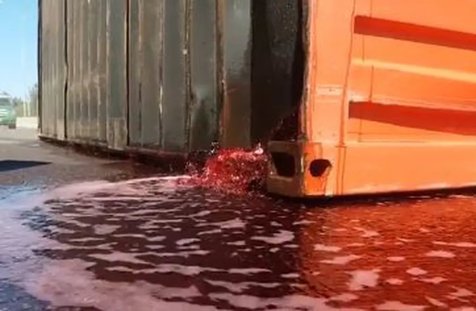 Camión volcó y derramó 24.000 litros de vino